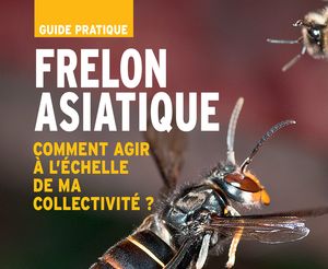 frelon